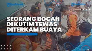 Seorang Bocah Meninggal akibat Diterkam Buaya di Kaltim, Bagian Tubuh Korban Ditemukan Luka Gigitan