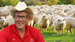 How To Use Sheep in a Permaculture System with Joel Salatin
