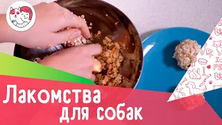 3 рецепта собачьих лакомств: как порадовать питомца в домашних условиях