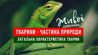 Тварини - частина живої природи. Загальна характеристика тварин. 7 клас