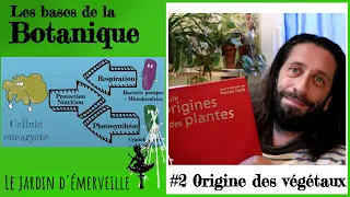 #2 Botanique - Origine des plantes, photosynthèse, respiration et symbioses !