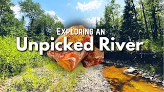 Rockhounding an Unpicked River | Finding Lake Superior Agates, Amethyst, Jasper & Other Minerals
