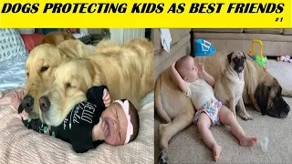 Dogs Protecting Kids – Because They Are Best Friends - Protection Dogs