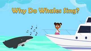 Why Do Whales Sing? | Animal Facts for Kids | Science Facts For Kids | What Is A Whale Song?