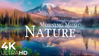 Morning Relaxing Music - Nature Relaxation Film 4K - Sunrise Serenity - Calming Nature UltraHD Video