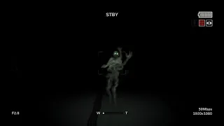 Escape Monster Under the Water, Outlast 2