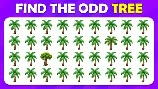 Find the ODD One Out - Summer Edition ☀️🏖🍦 Easy, Medium, Hard |Quiz Fire|