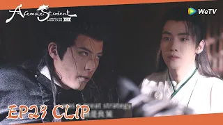 EP29 Clip | Yunzhi purposefully irritated Wenyuan in order to let Wenyuan kill him! | 国子监来了个女弟子