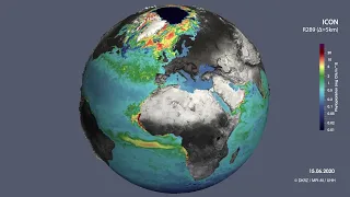 Phytoplankton dynamics simulated with high-resolution HAMOCC@ICON