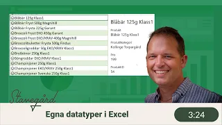 Egna datatyper i Excel (det som ibland kallas "custom data types")