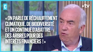 Les arbres, témoins vivants des siècles passés - C l’hebdo - 11/06/2022