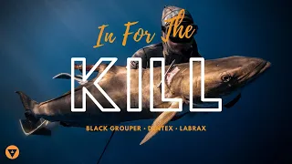 In For The Kill | Ep. 10 | Spearfishing Black Grouper, Dentex & Labrax