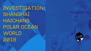 2019 China Cetacean Alliance Investigation of Shanghai Haichang Polar Ocean World with Dr Naomi Rose