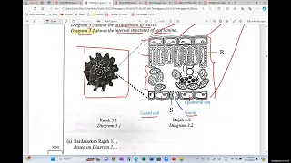 F5 Biology 2023 Trial Question Chapter 2- Part 1