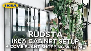 ikea rudsta greenhouse cabinet setup + come plant shopping with me!