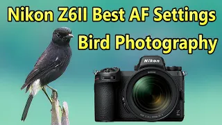 Nikon Z6II Bird Photography Best AF Settings