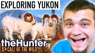 Exploring the Yukon Valley! - Hunter Call of the Wild