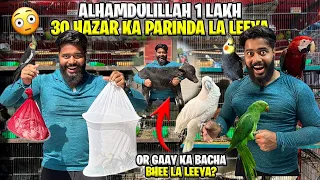 ALHAMDULILLAH 1 LAKH 30 HAZAR KA PARINDA LA LEEYA 😳 | GAAY KA BACHA BHEE LA LEEYA | SYED FAHAD |