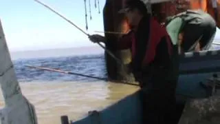 COMMERCIAL FISHING FOR RED SNAPPER AND SHEEPHEAD WITH CANE POLES