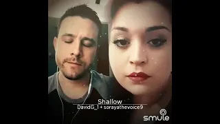 shallow #smule cover