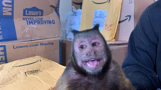 MonkeyBoo Birthday Mail (LIVE) Part 2
