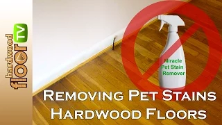 Remove Pet Urine Stains From Hardwood Floors