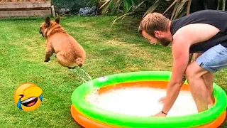 Funniest Animals Video - Best  Dogs🐶  and Cats😹 Videos of 2023 !