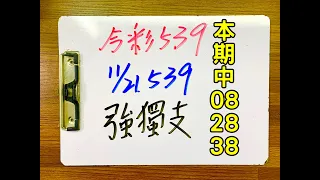 ★本期中08.28.38★【今彩539 】11月21日(一)強獨支【上期中31】  #539 號碼