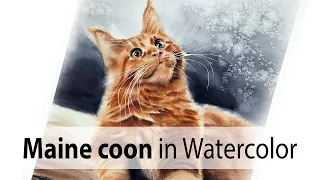 Maine coon in watercolor. How to paint fluffy cat fur in watercolor. Realistic painting.