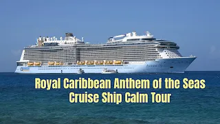 Royal Caribbean Anthem Of The Seas Cruise Ship Calm Tour