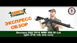 Обзор винтовки G&G TR16 MBR 308 M-Lok (g2h-016-mlk-bnb-ncm)