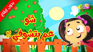 شو عم بتشوفي (بدون إيقاع) - قناة بلبل BulBul TV