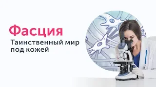 Фасция. Таинственный мир под кожей