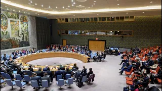 Ukraine: Security Council meeting