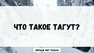 Что такое тагут? || Сирадж Абу Тальха