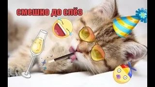 ДО СЛЁЗ СМЕШНЫЕ ПРИКОЛЫ ПРО ЖИВОТНЫХ 2018/СМЕШНЫЕ КОТЫ И КОШКИ 2018.ТЕСТ НА ПСИХИКУ.