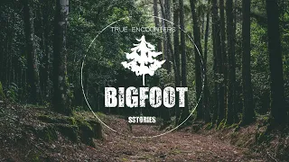 Female BIGFOOT Guards Her Territory | SASQUATCH ENCOUNTERS