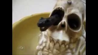 Cool Scary Vintage Halloween Candy Dish - Snake comes out of Skull's Eye!