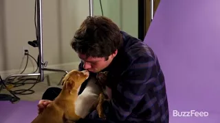 Dylan O’Brien being Dylan O’Brien with puppies