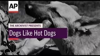 Dogs Like Hot Dogs - 1954 | The Archivist Presents | #106