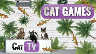 CAT TV | Larry the Lizard | A Playful Adventure Across Diverse Lands | Videos For Cats to Watch | 😼