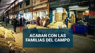 La Central de Abasto acaba con las familias del campo mexicano