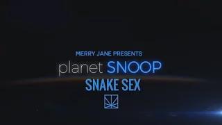 Snake Sex | PLANET SNOOP