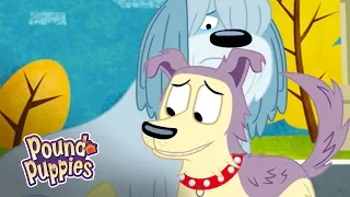 'Lucky's Final Goodbye?' 😥 Official Clip | Pound Puppies Season 3