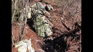 Day 63 Appalachian Trail 19 March 2021 dragon tooth