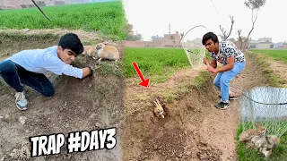 Bht Sara Jungle Rabbits Pkar Lia 🥳 Trap Laga Ky