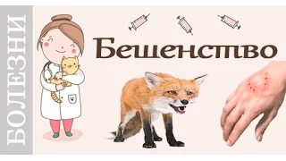 Бешенство. Советы ветеринара.