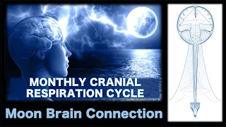 MOON BRAIN CONNECTION - *Sacred Secretion* - Monthly Cranial Respiration Cycle #mooncycles #alchemy