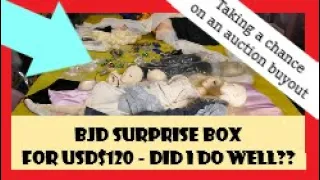 BJD Auction Surprise Box Win for USD$120?  Did I do well?  Authentic BJDs scored with accessories.