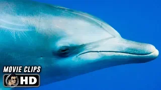 DOLPHIN REEF Clips + Trailer (2020) Disneynature